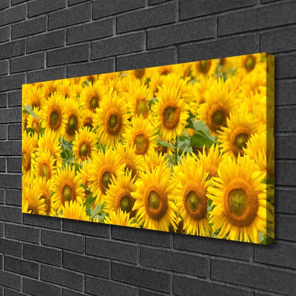 Tablou pe panza canvas Floarea soarelui Floral Galben Maro Verde
