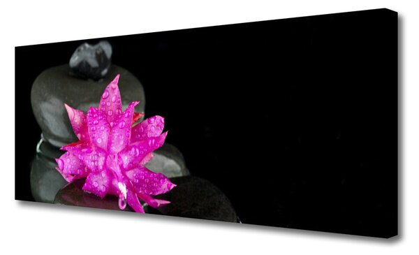 Tablou pe panza canvas Pietrele florale flori roz gri