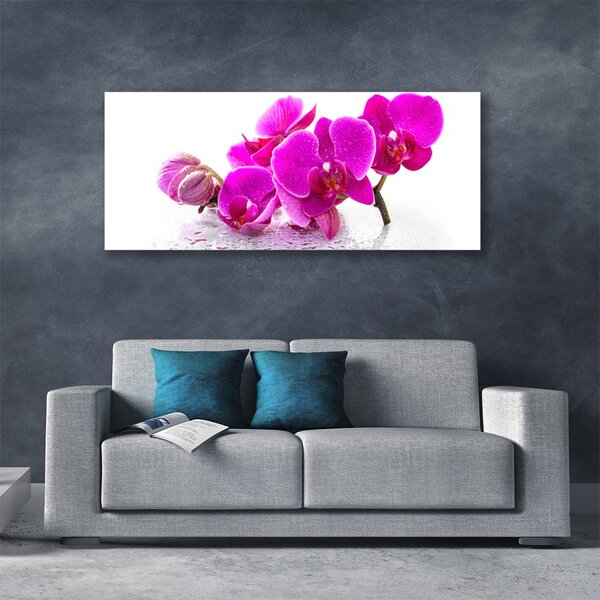 Tablou pe panza canvas Flori roz Floral