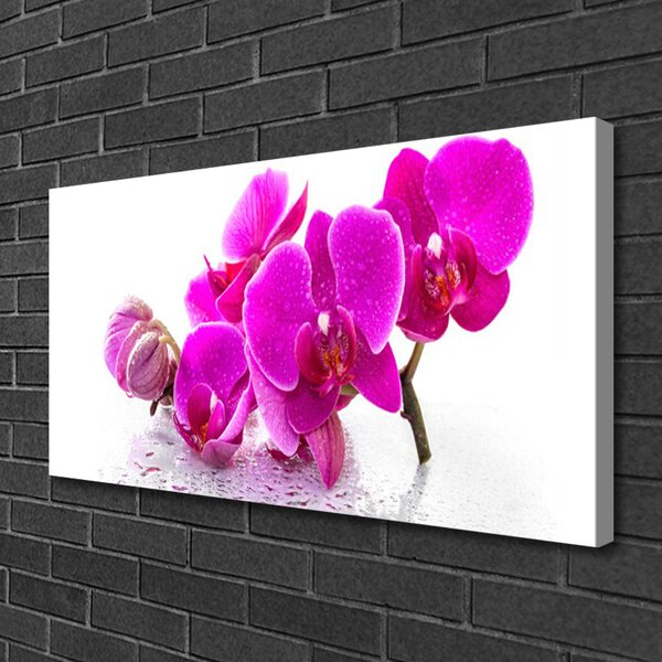 Tablou pe panza canvas Flori roz Floral