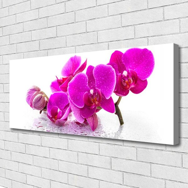 Tablou pe panza canvas Flori roz Floral
