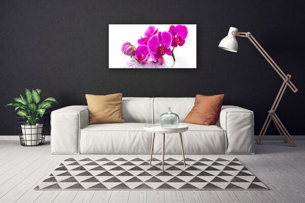 Tablou pe panza canvas Flori roz Floral