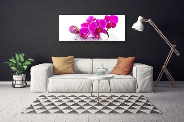 Tablou pe panza canvas Flori roz Floral