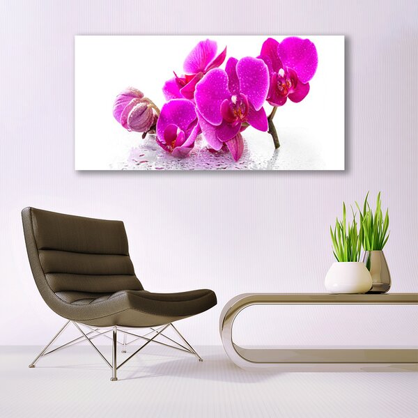 Tablou pe panza canvas Flori roz Floral