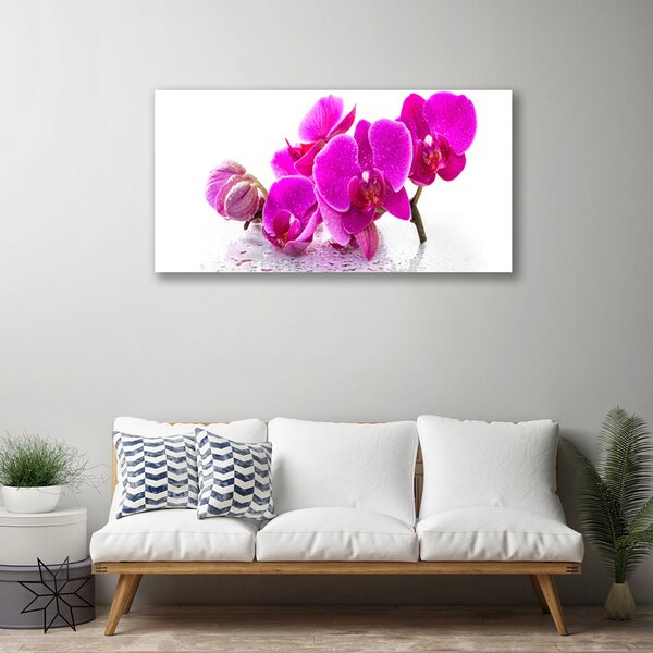 Tablou pe panza canvas Flori roz Floral