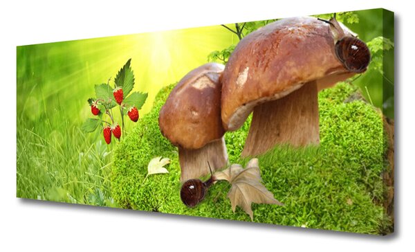 Tablou pe panza canvas Ciuperci Iarbă Wild Căpșuni Natura Brun Roșu Verde