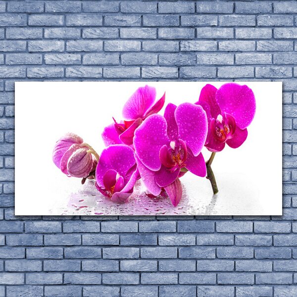 Tablou pe panza canvas Flori roz Floral