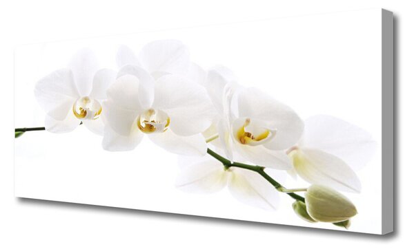 Tablou pe panza canvas Flori Floral alb