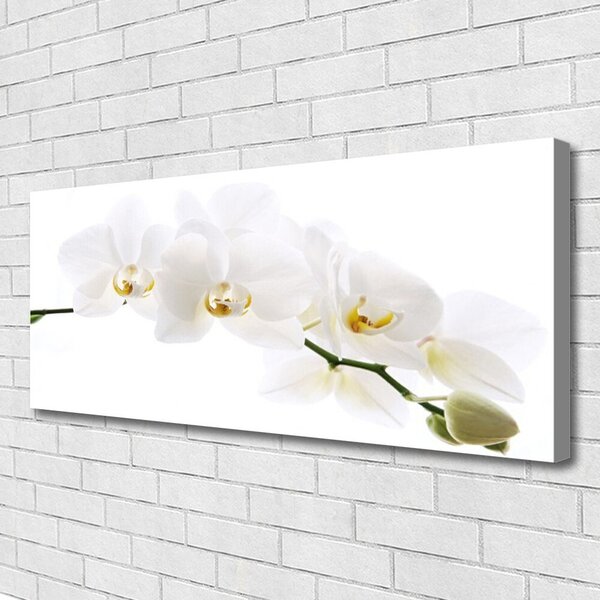 Tablou pe panza canvas Flori Floral alb
