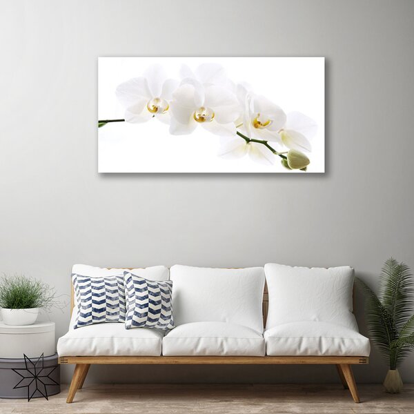 Tablou pe panza canvas Flori Floral alb