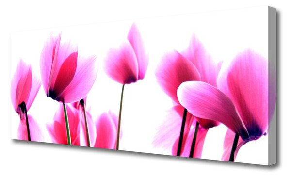 Tablou pe panza canvas Flori roz Floral