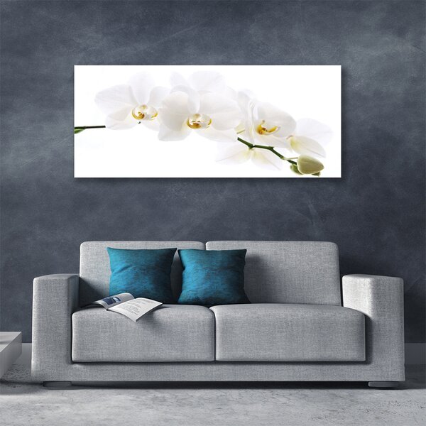 Tablou pe panza canvas Flori Floral alb