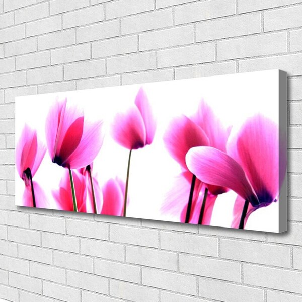 Tablou pe panza canvas Flori roz Floral