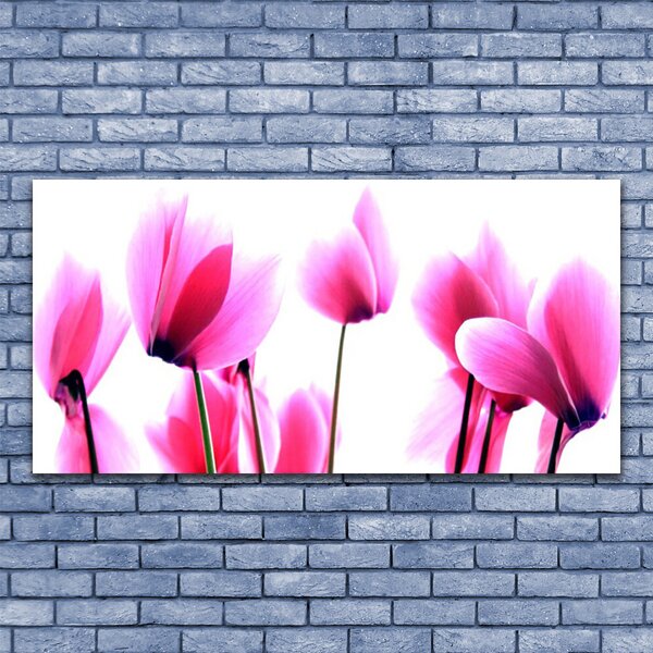 Tablou pe sticla Flori roz Floral