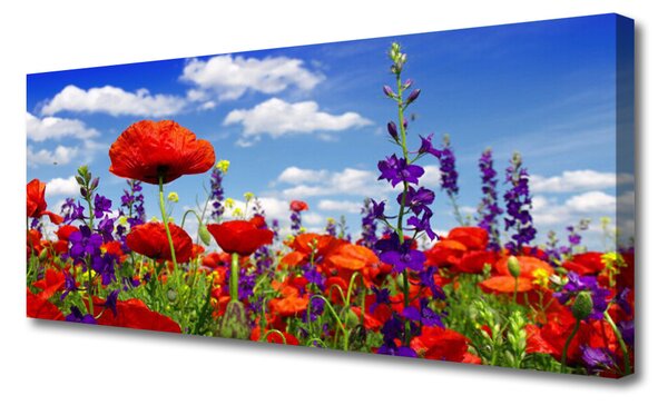 Tablou pe panza canvas Lalele Natura Roșu Violet Verde