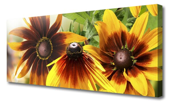 Tablou pe panza canvas Flori Floral Brown Galben