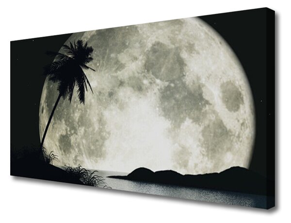 Tablou pe panza canvas Noapte Luna Palm Peisaj Negru Gri Alb
