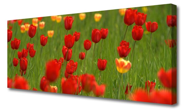 Tablou pe panza canvas Lalele Natura Brun Galben Verde