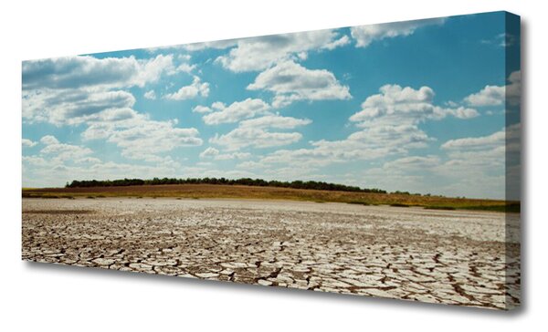 Tablou pe panza canvas Desert Peisaj Gri Verde
