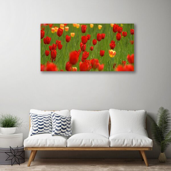 Tablou pe panza canvas Lalele Natura Brun Galben Verde