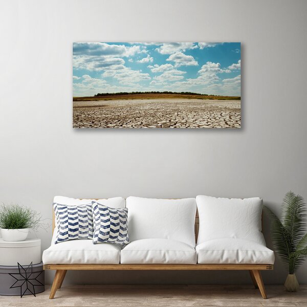 Tablou pe panza canvas Desert Peisaj Gri Verde