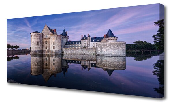 Tablou pe panza canvas Castelul de apă Arhitectură Violet Gri Negru