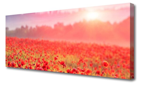 Tablou pe panza canvas Flori Meadow Natura Roșu Verde