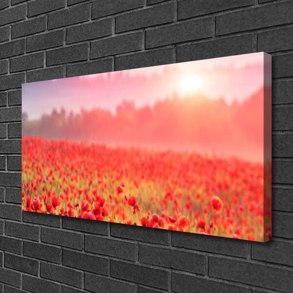 Tablou pe panza canvas Flori Meadow Natura Roșu Verde