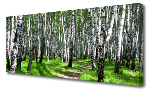 Tablou pe panza canvas Copaci Iarbă Natura Negru Alb Verde