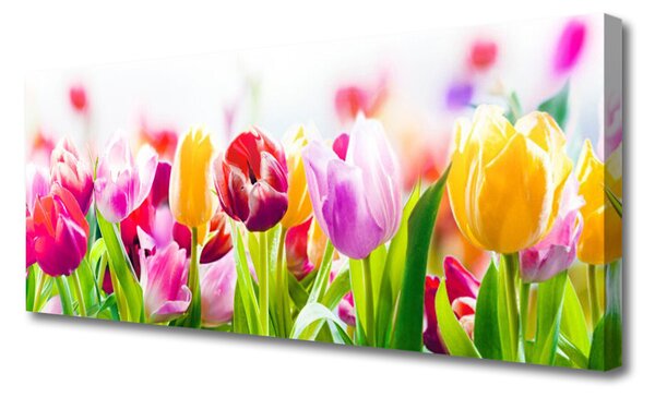 Tablou pe panza canvas Lalele Floral Rosu Roz Verde
