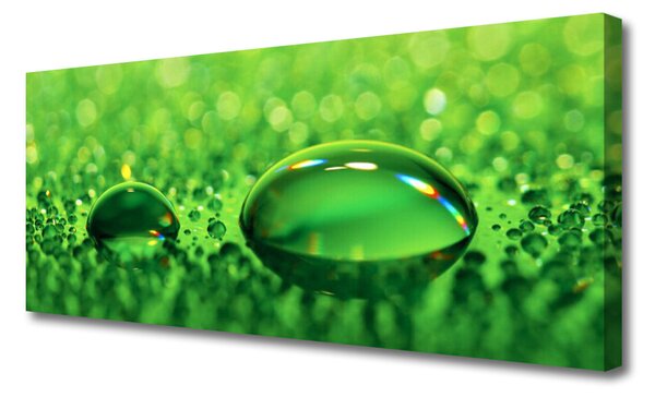 Tablou pe panza canvas Waterdrop Art Green