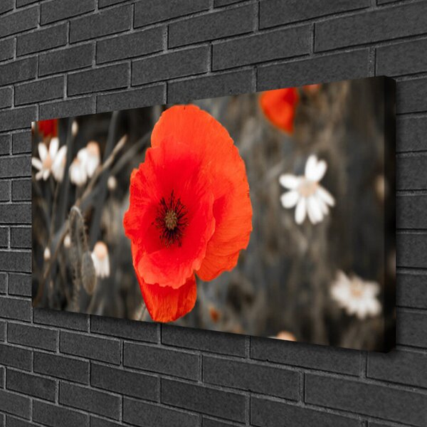 Tablou pe panza canvas Florale flori Roșu Gri