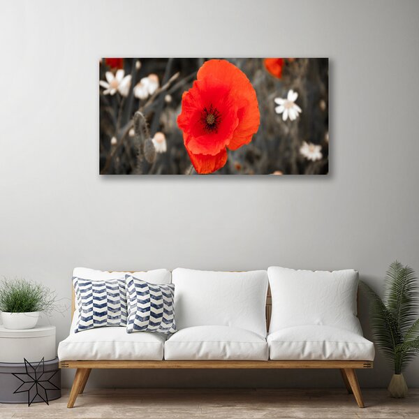 Tablou pe panza canvas Florale flori Roșu Gri