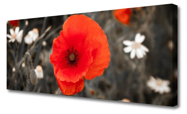 Tablou pe panza canvas Florale flori Roșu Gri