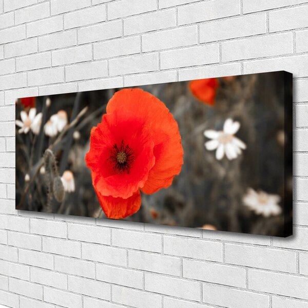 Tablou pe panza canvas Florale flori Roșu Gri