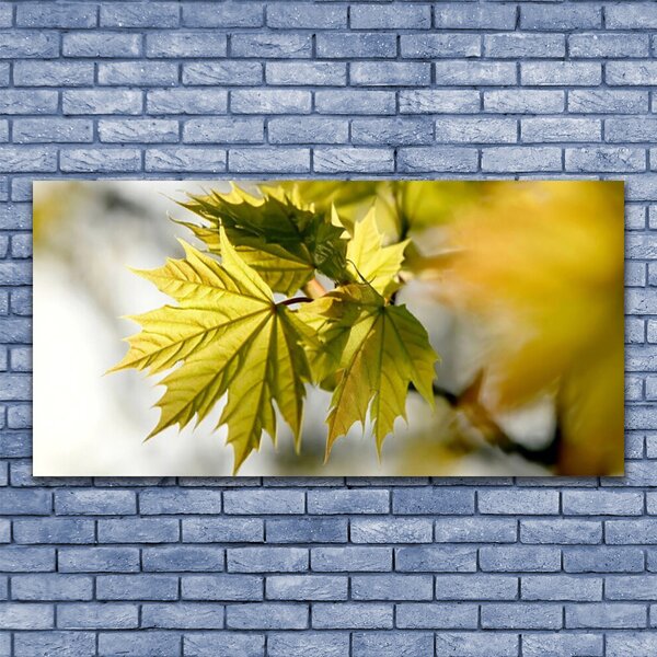 Tablou pe panza canvas Frunze verde florale