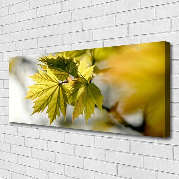 Tablou pe panza canvas Frunze verde florale