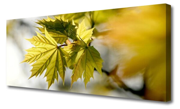 Tablou pe panza canvas Frunze verde florale