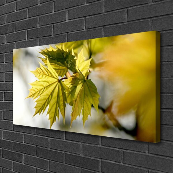 Tablou pe panza canvas Frunze verde florale