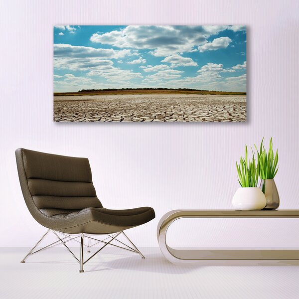 Tablou pe panza canvas Desert Peisaj Gri Verde