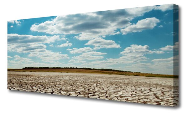 Tablou pe panza canvas Desert Peisaj Gri Verde