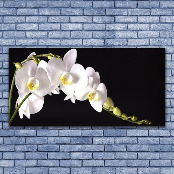 Tablou pe sticla Flori Floral alb