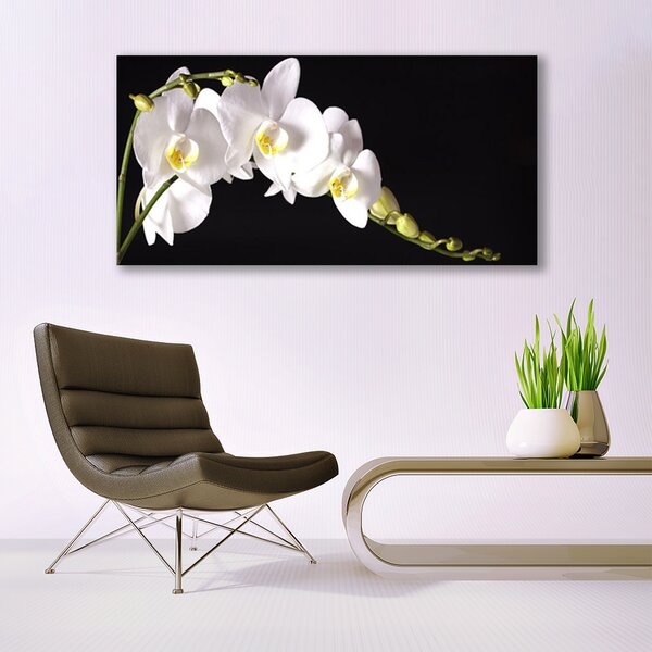 Tablou pe sticla Flori Floral alb