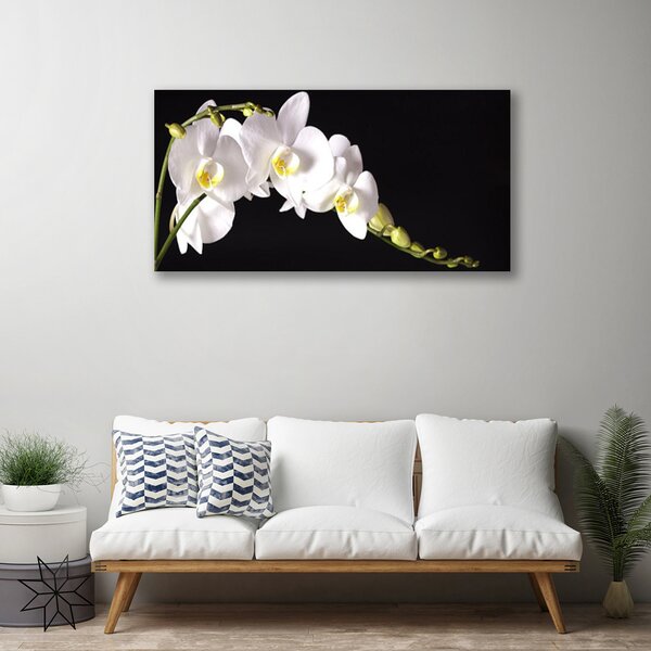 Tablou pe panza canvas Flori Floral alb