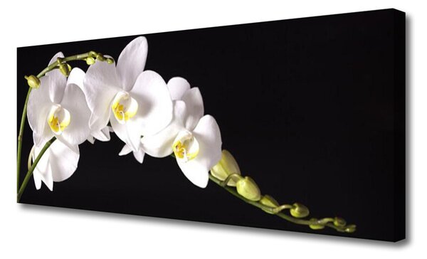Tablou pe panza canvas Flori Floral alb