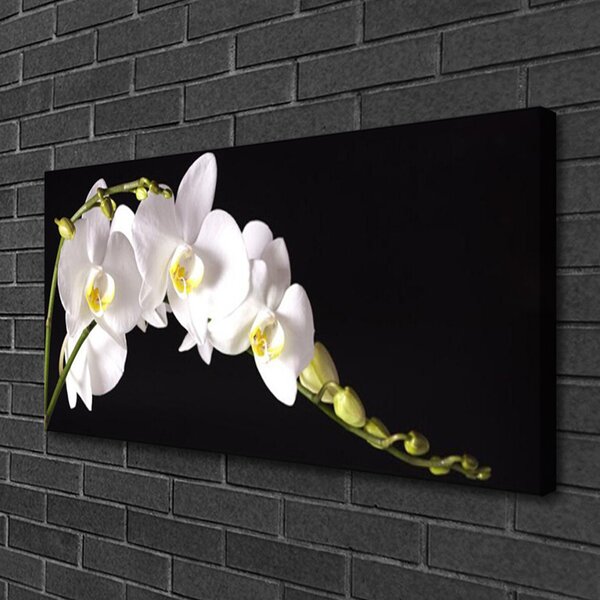 Tablou pe panza canvas Flori Floral alb