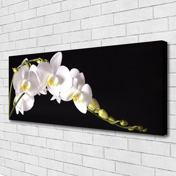 Tablou pe panza canvas Flori Floral alb