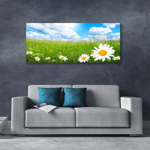 Tablou pe panza canvas Daisy Iarbă Natura Alb Galben Verde