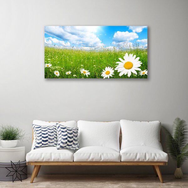 Tablou pe panza canvas Daisy Iarbă Natura Alb Galben Verde