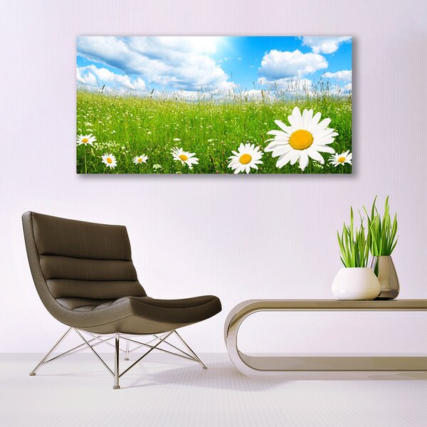 Tablou pe panza canvas Daisy Iarbă Natura Alb Galben Verde